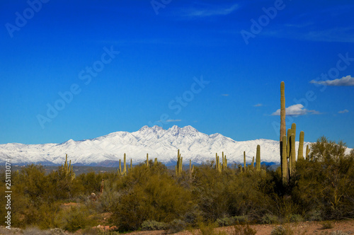 Four Peaks Mountains Covered in Snow in Arizona with Cactus and Desert Brush in the Foreground
