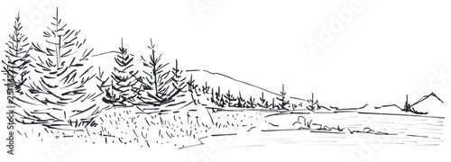 Landscape with a mountain chain and forest. In the foreground there are three tall firs. Hand-drawn linear illustration on paper. Sketch with ink on a white background.