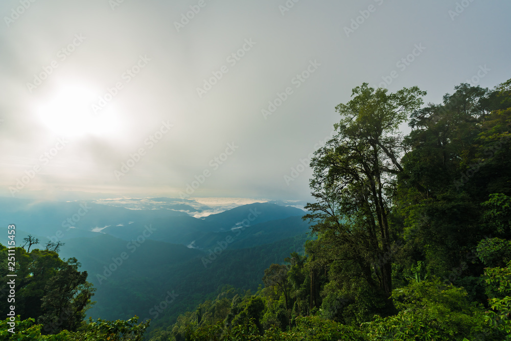 View of the mountain range and sea of mist in the morning