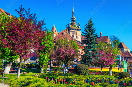 Ornamental park with colorful flowers in city center, Sighisoara, Romania photo