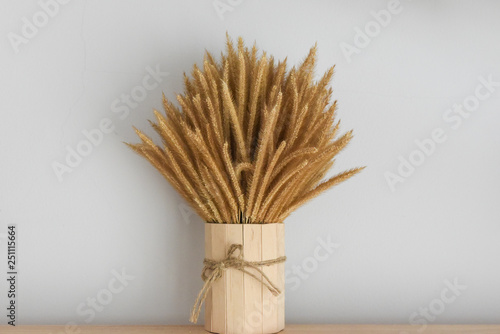 dried plant on the shelf for decoration