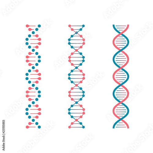 Chemistry code DNA. Double genetic code of human molecule. Biotechnology future vector set