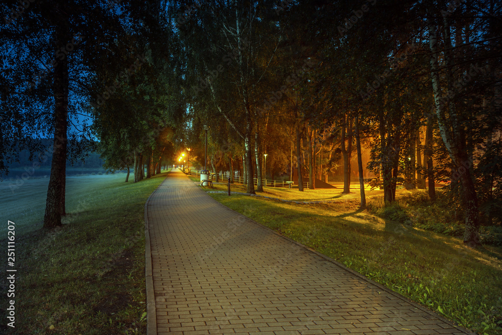 Obraz premium Trail near the Nemunas