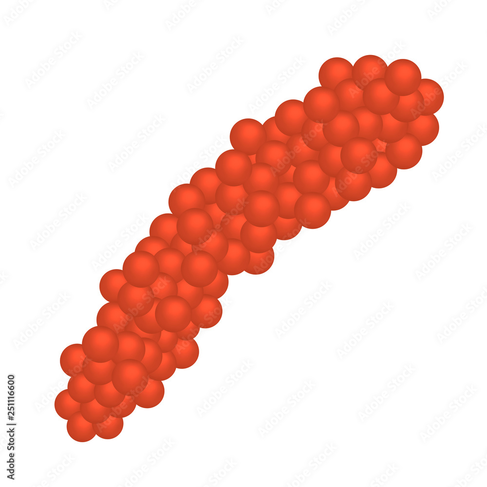 Obraz premium すじこ