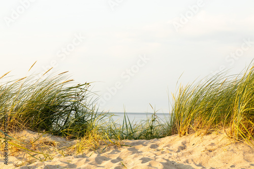 Fototapeta Naklejka Na Ścianę i Meble -  dunes at north sea germany sunset