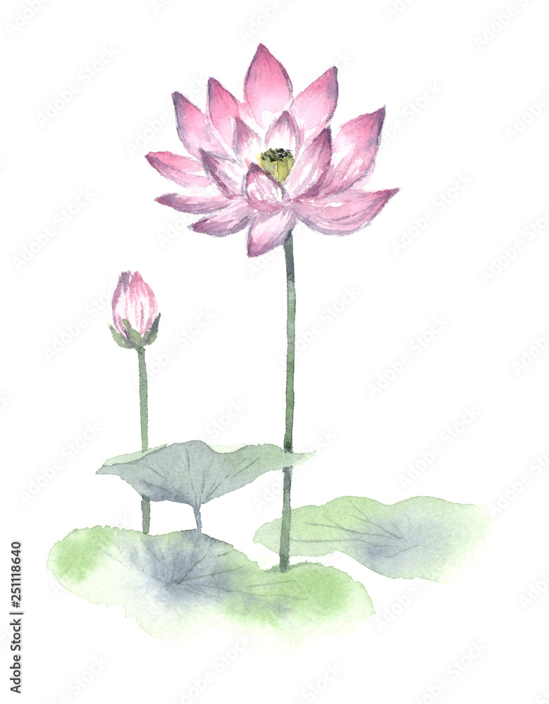 蓮の花 墨絵風 蓮の花 墨絵風