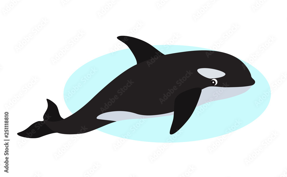 Obraz premium Orca icon, whale killer, isolated on white background