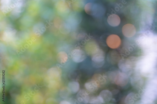 Bokeh of Tree Leaves for nature background and save green concept,soft and blur out of focus, made with gradient and filter colored.