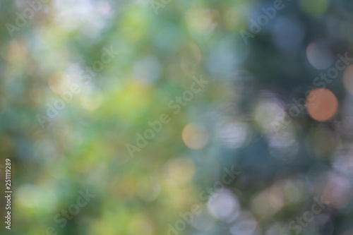 Bokeh of Tree Leaves for nature background and save green concept,soft and blur out of focus, made with gradient and filter colored.
