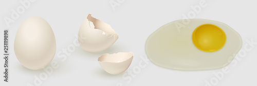 White chicken egg, eggshell and yolk isolated on gray background. Vector illustration.