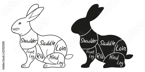 Rabbit cuts diagram. Cut of meat set. Vector illustration.