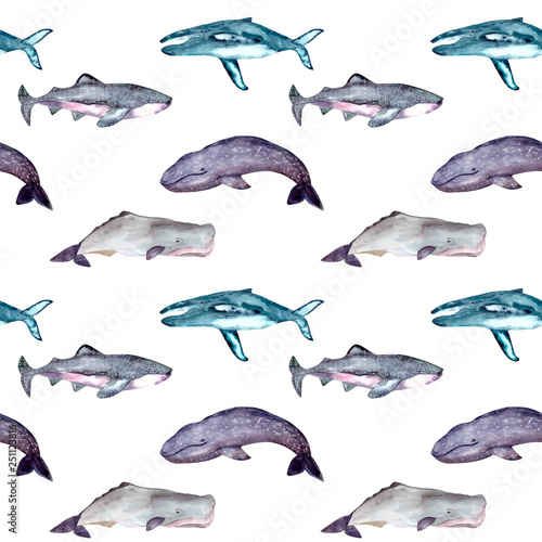 Seamless pattern with gray whales, shark tiger,blue whales, sperm whales. Can be used for wallpaper, web page background, surface textures.
