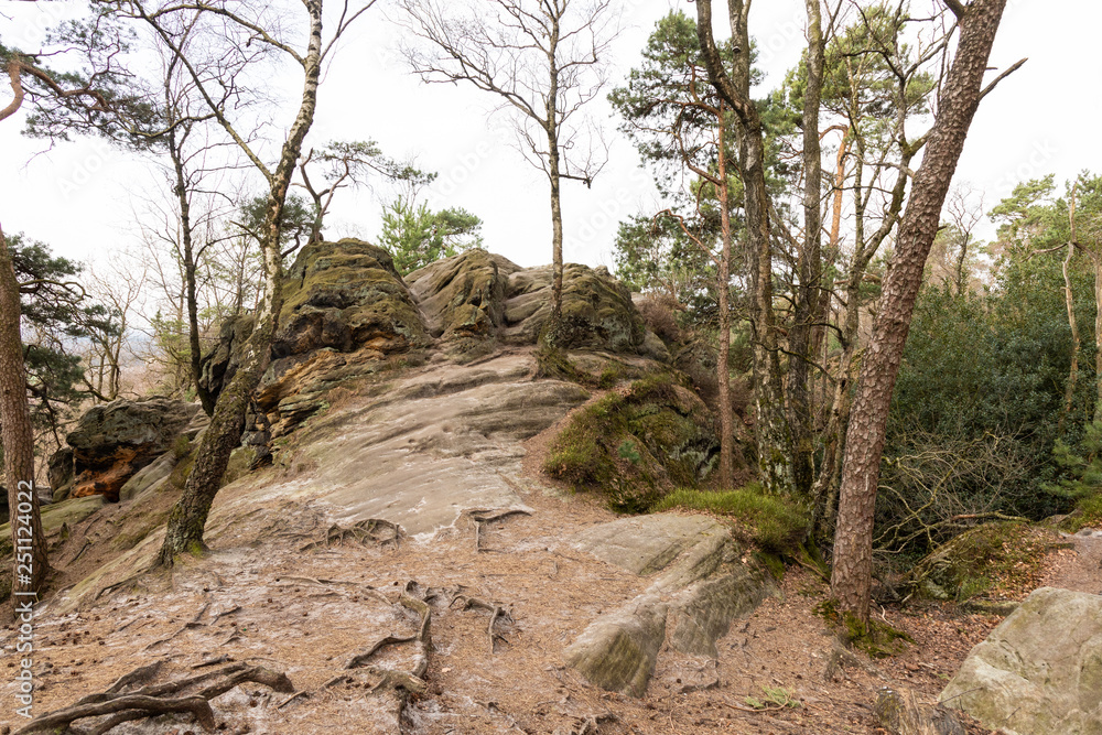 Fototapeta premium forest dörenther klippen with mountain
