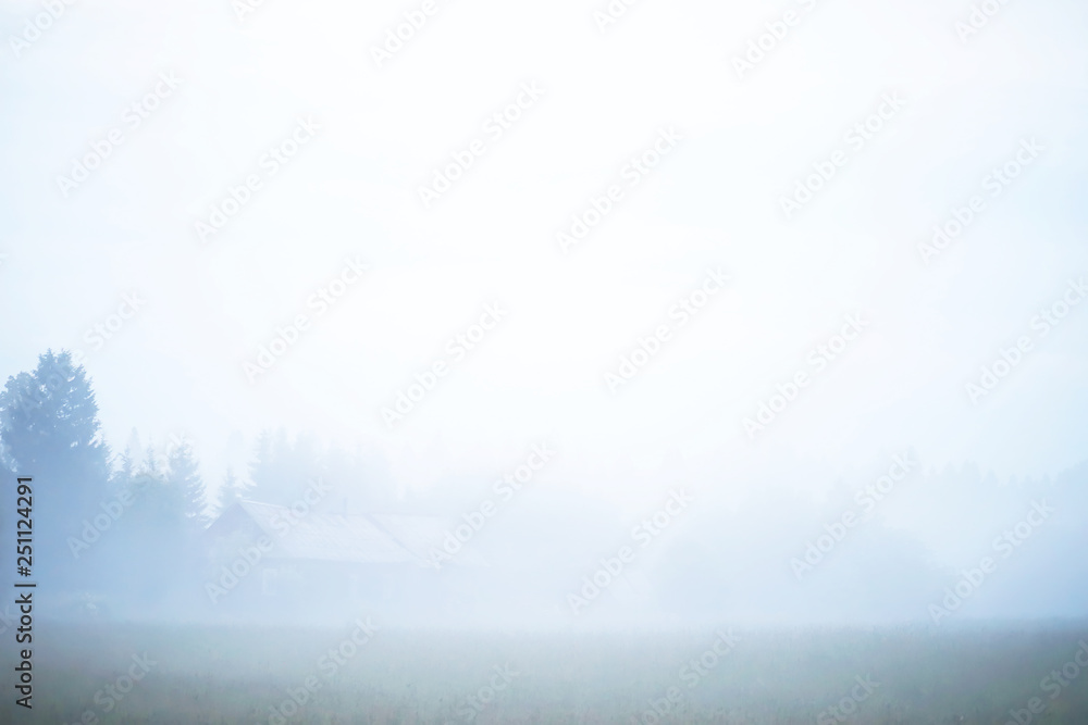 Fog in the field. Evening nature summer with white fog. Fog in the field. Evening nature summer with white fog.