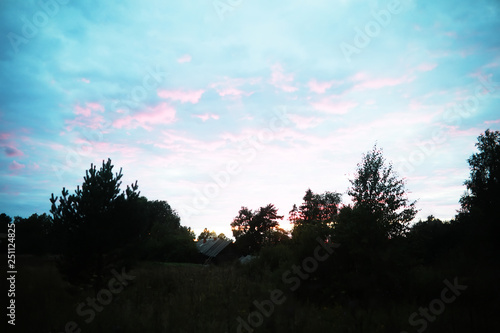 Spring sunset over the forest. Pink and blue clouds in the sunset.