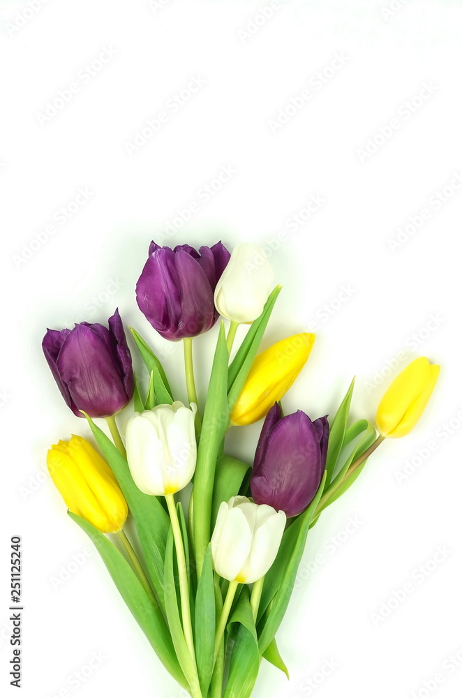 Fototapeta premium Flowers composition background. bouquet of purple violet, yellow, white tulips on a white background. top view. copy space. Flowers pattern