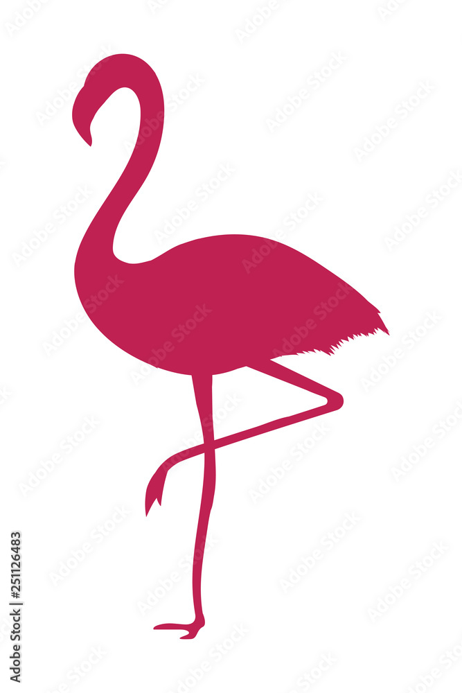 Fototapeta tropical flamingo cartoon