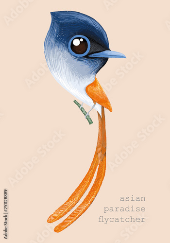 Bird cartoon, Asian Paradise Flycatcher paintting.