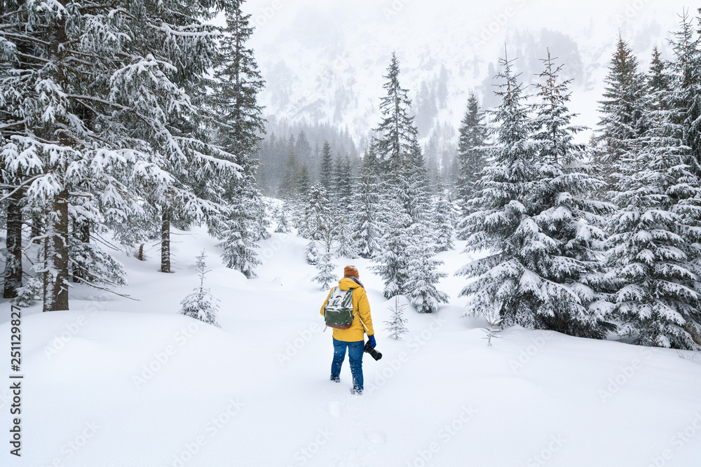 The photographer is walking in winter forest in mountains The photographer is walking in winter forest in mountains