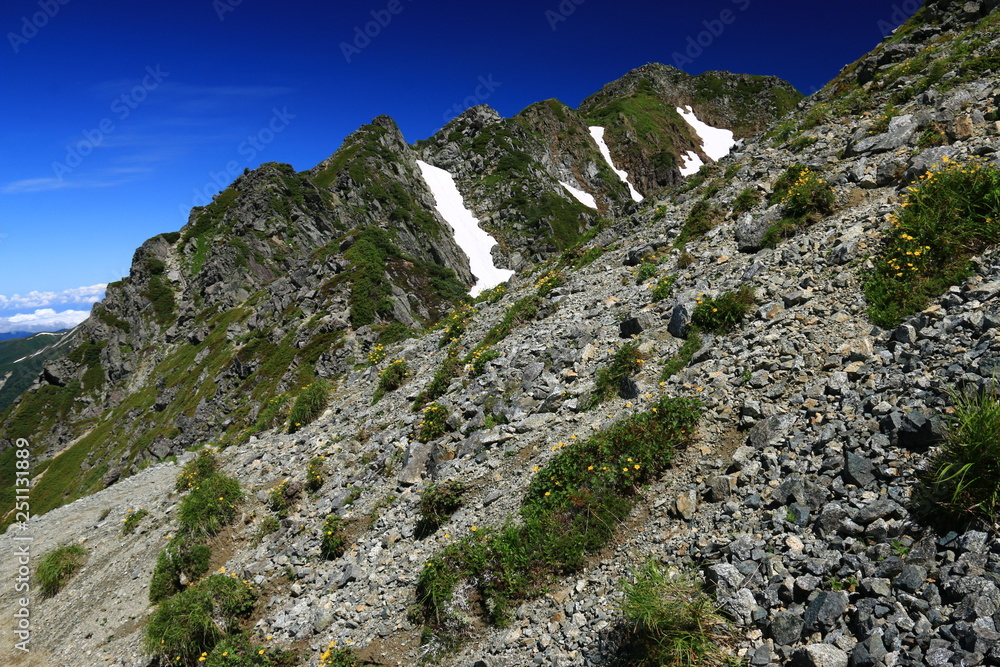 北アルプス　水晶岳山頂への道