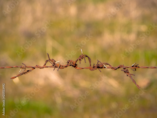 Abstract background. A piece of rusty barbed wire © anuskiserrano