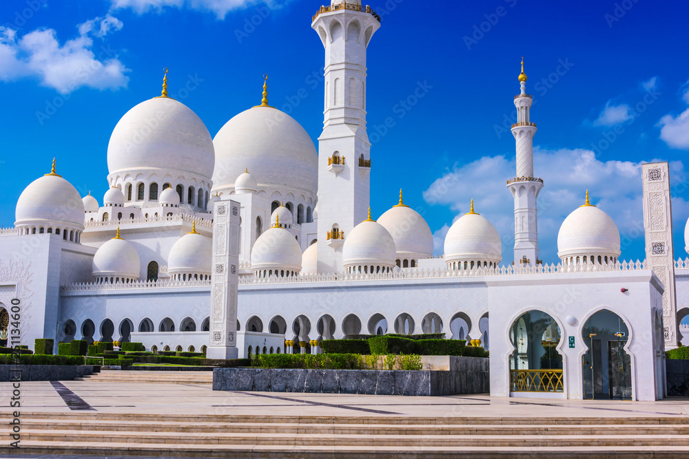 Fototapeta premium Sheikh Zayed Grand Mosque in Abu Dhabi, United Arab Emirates
