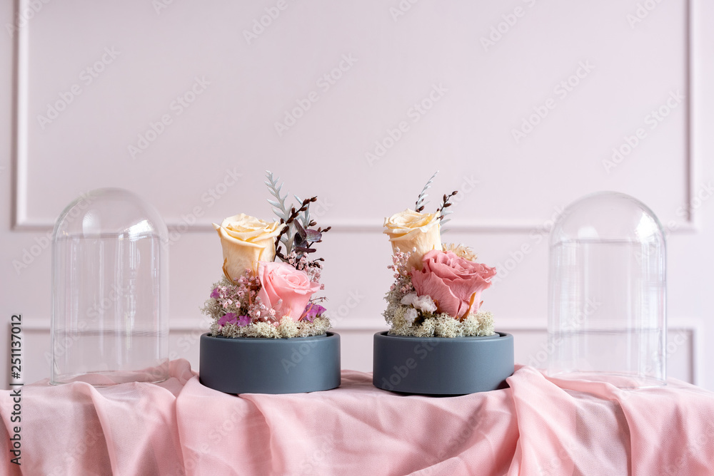 Long-lasting roses in a glass dome Long-lasting roses in a glass dome