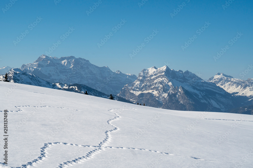 Tierspuren und schneebedecktes Berpanorama im Winter