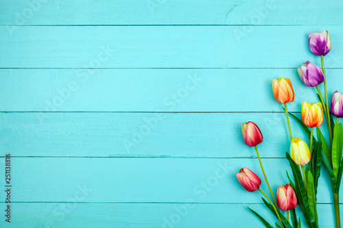 Spring flower of multi color Tulips on wood ,Flat lay image for holiday greeting card for Mother's day,Valentine's day, Woman's day and copy space space for your text