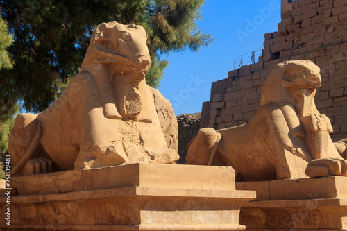 Wallpaper Mural Alley of sphinxes at Karnak Temple Complex in Luxor, Egypt Torontodigital.ca