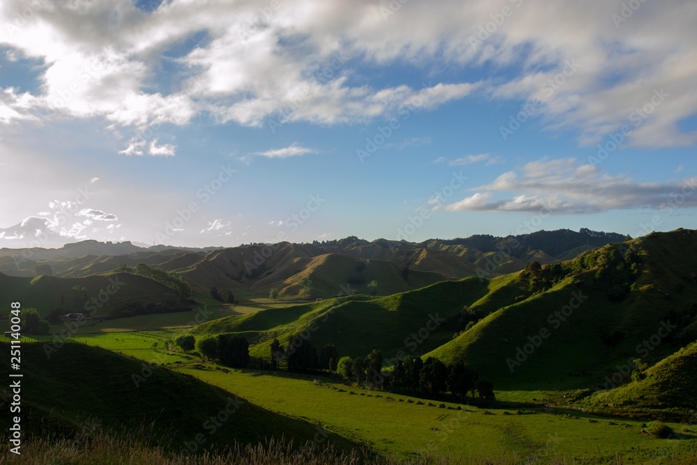 A typic new zealand landscape with green mountains during the sunset