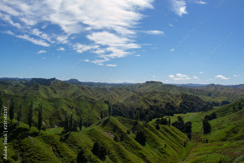 A typic new zealand landscape with green mountains 