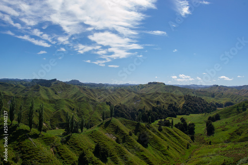 A typic new zealand landscape with green mountains 