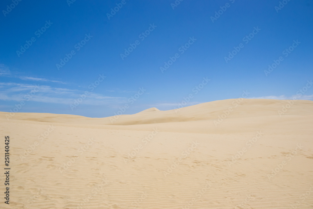 the beautiful te paki sand dune in new zealand