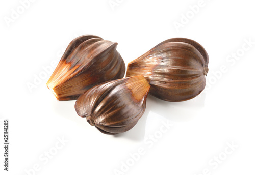 Mangrove palm isolated on a white background photo