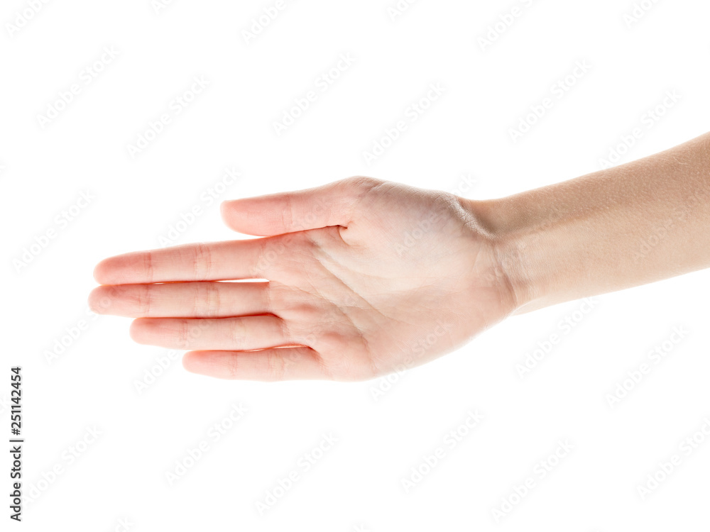 Female hand isolated on white background. White woman's hand showing symbols and gestures. Palm Female hand isolated on white background. White woman's hand showing symbols and gestures. Palm