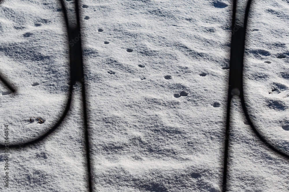 Cold and snow white background. Frosty Sunny day and cool. The view ...