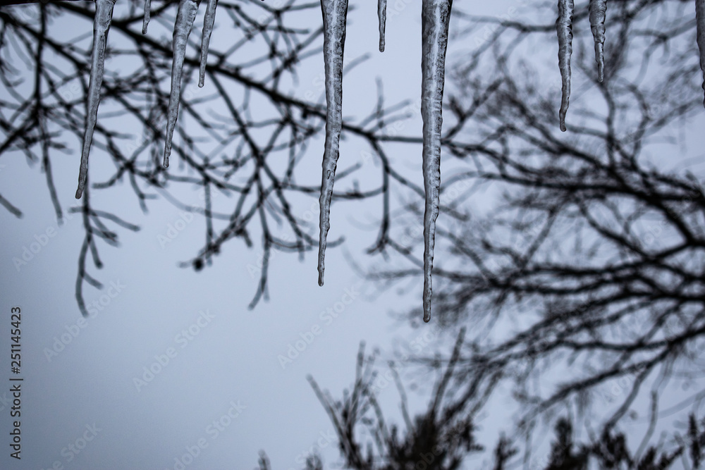 Cold and winter seasonal icicles hanging from roofs in non-flying and unpleasant weather. Cloudy January day. Drops of spring. Long and short icicles. Cold and winter seasonal icicles hanging from roofs in non-flying and unpleasant weather. Cloudy January day. Drops of spring. Long and short icicles.