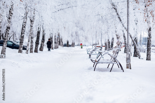winter city walkway with benches photo