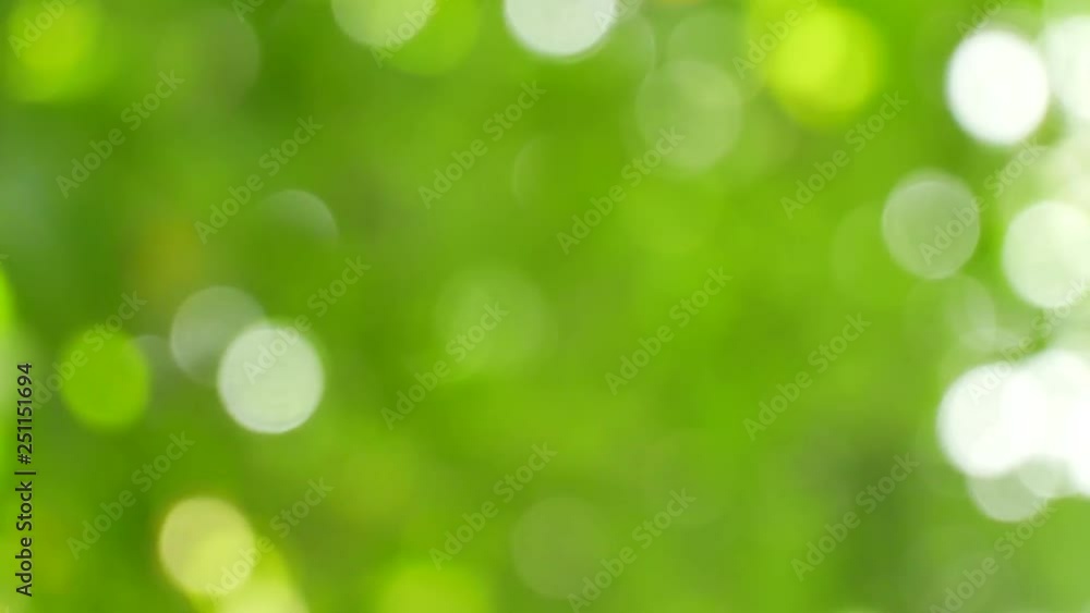 Blur green background Blur green background