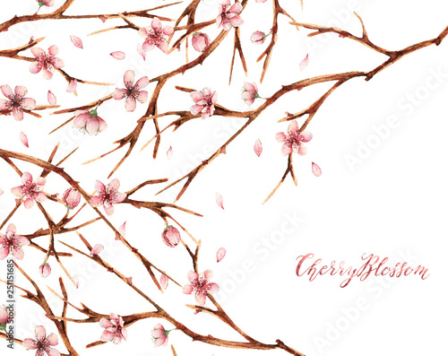 Watercolor illustration,Cherry blossom,spring, flowers,branches,card for you,handmade