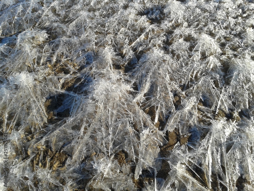 Snow Snow