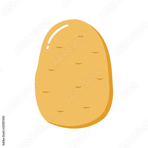 potato flat. Vector illustration of potatoes for soup.