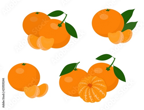 Mandarines, tangerine, clementine with leaves isolated on white background. Citrus fruit. Vector Illustration set