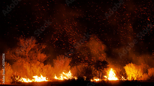 bushfire in grassland with trees in australia