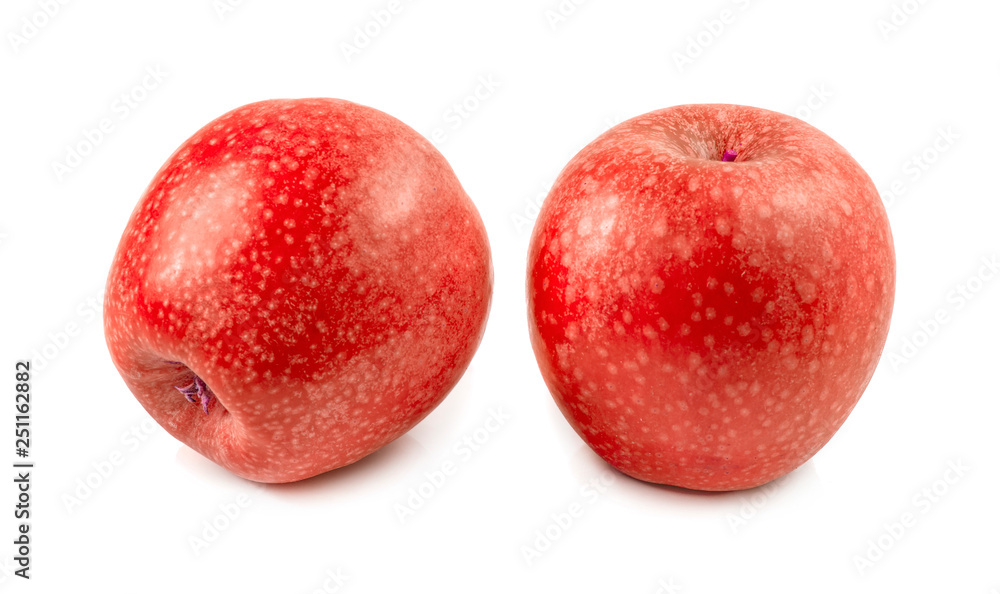 apple isolated photography on a white background apple isolated photography on a white background