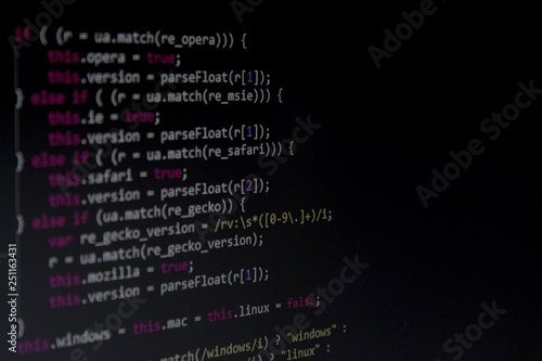 Program code or code snippet