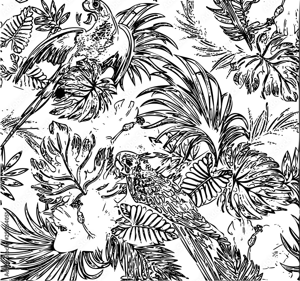 Art vector drawing colouring book coloring vector black and white line