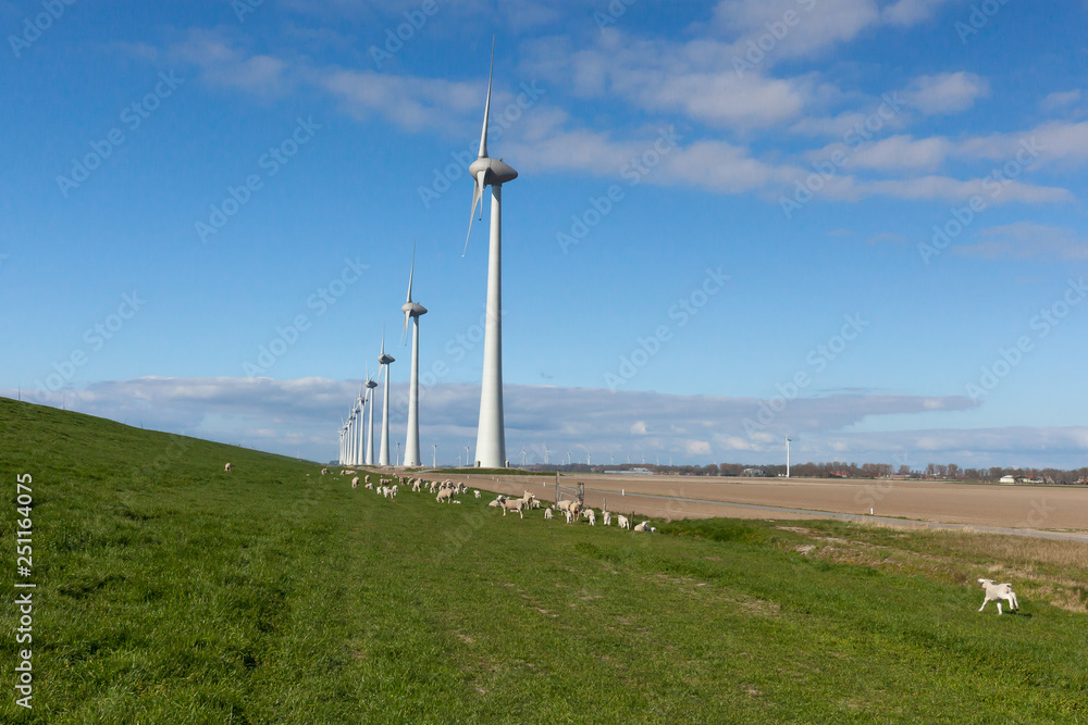 Wind farm