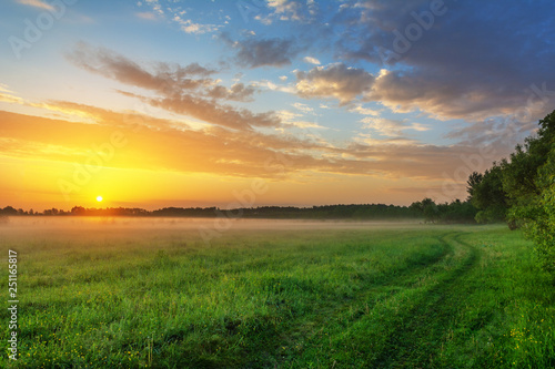 Wonderful spring dawn with morning fog and rustic pastures on the background of a beautiful warm sky  green fragrant grass and young leaves on trees